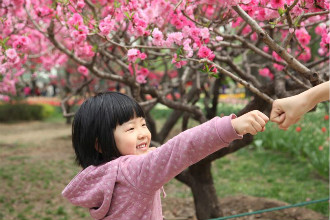 春花3